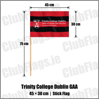 Trinity College Dublin GAA 30cm x 45cm Stick Flag with the club crest and colours, Dublin GAA - ClubFlags.ie