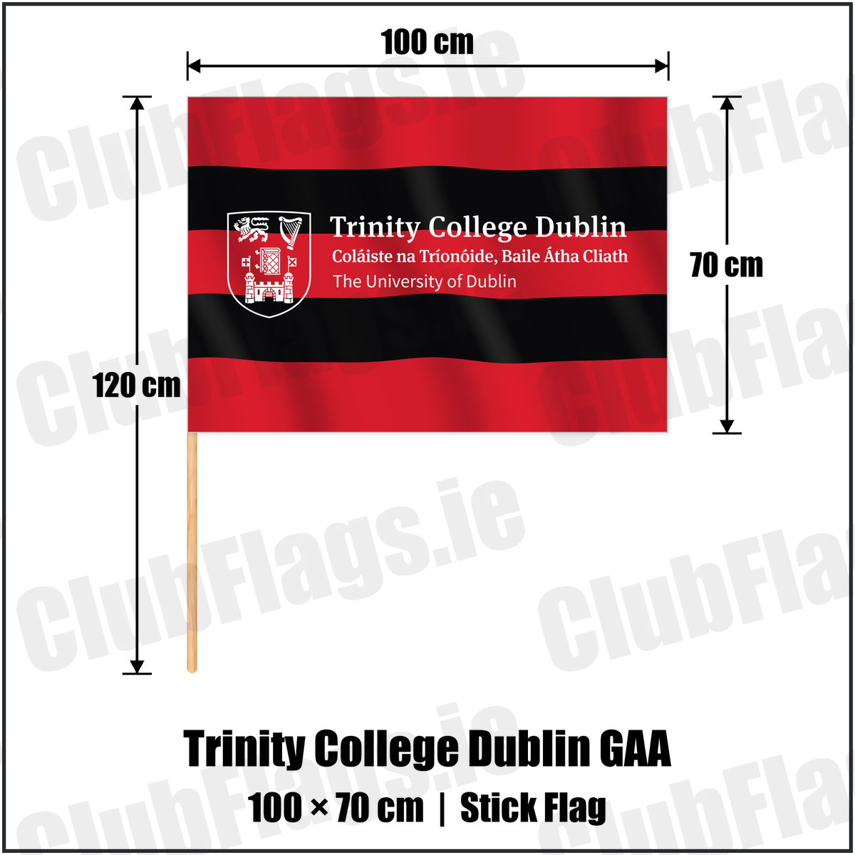 Trinity College Dublin GAA 70cm x 100cm Stick Flag with the club crest and colours, Dublin GAA - ClubFlags.ie