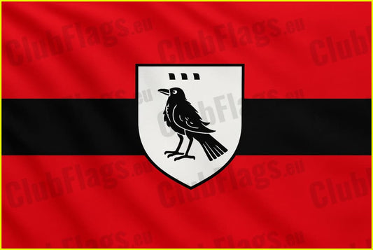 Trinity Gaels GAA Club Flag - GAA Clubs