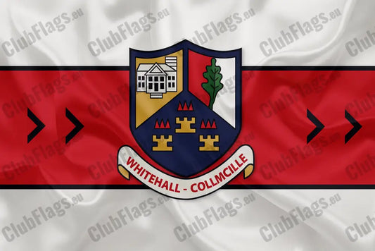 Tyrrelstown GAA Club Flag GAA Clubs