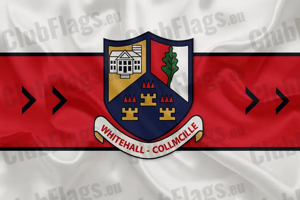 Tyrrelstown GAA Club Flag GAA Clubs